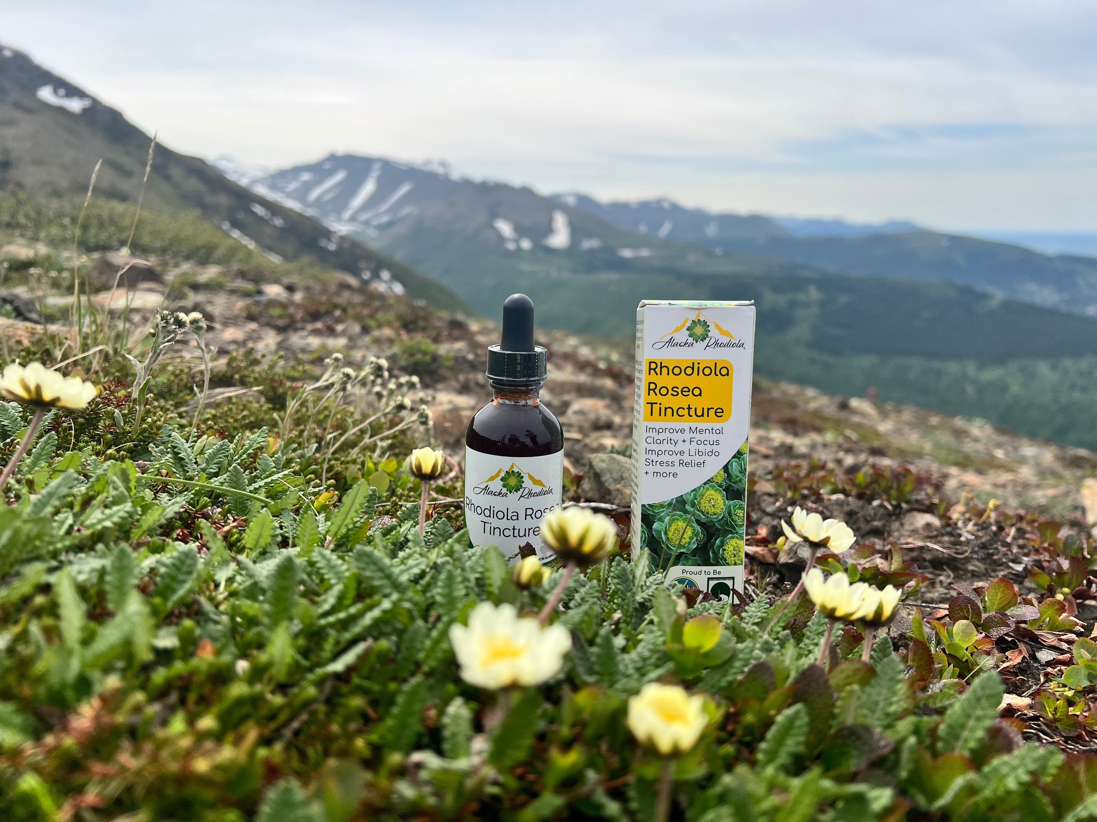 Rhodiola Rosea Tincture – Alaska Grown Herbal Extract (2 oz)