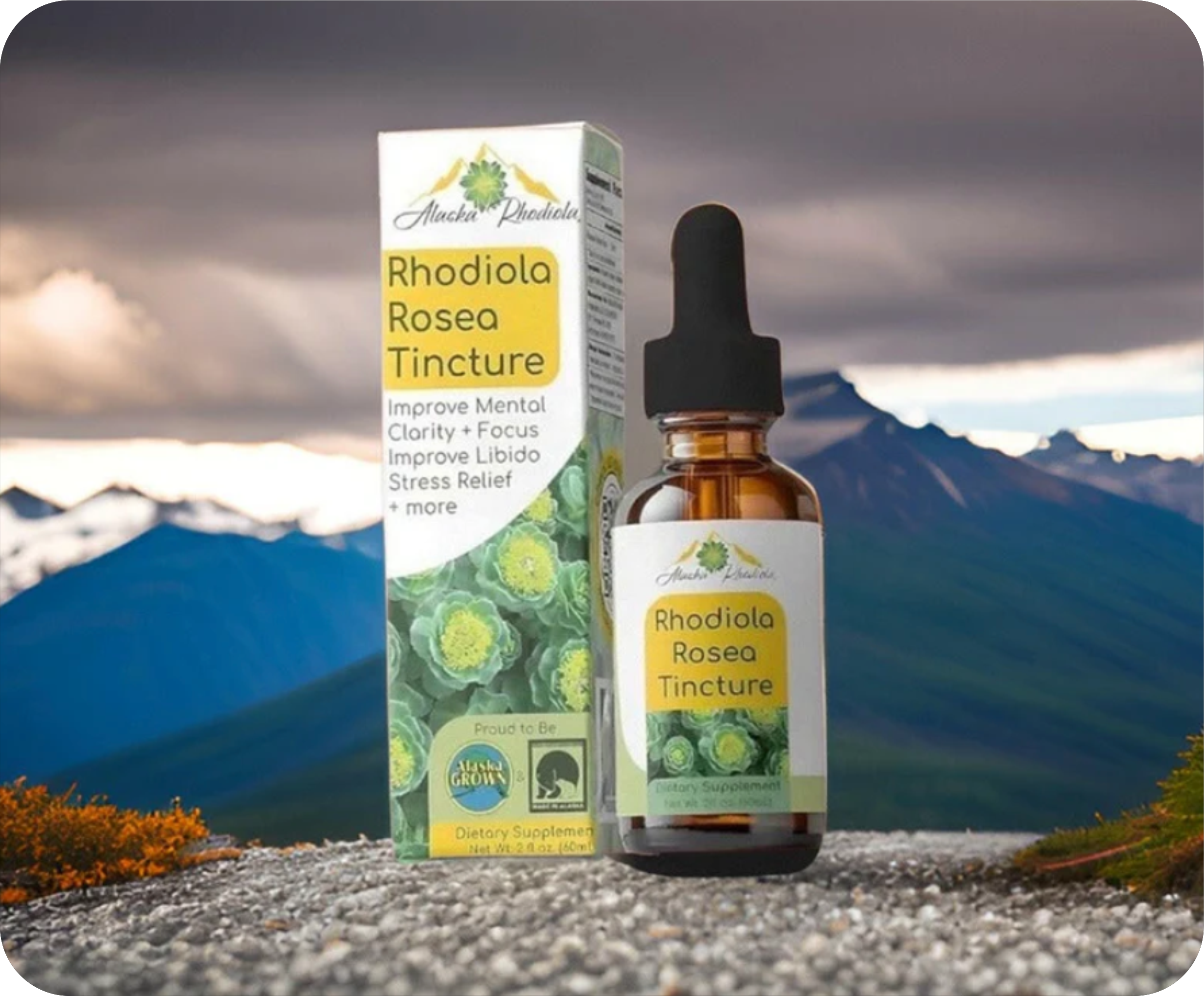 Rhodiola Rosea Tincture – Alaska Grown Herbal Extract (2 oz)